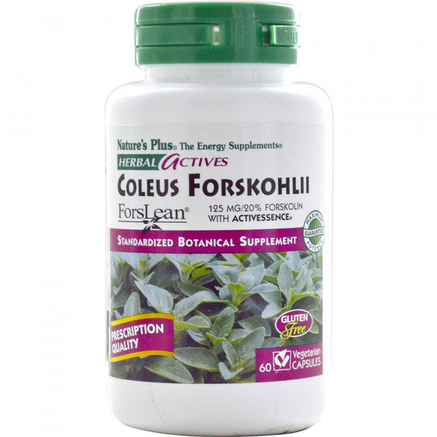 Форсколін, Coleus Forskohlii, Nature's Plus, Herbal Actives, 125 мг, 60 капсул
