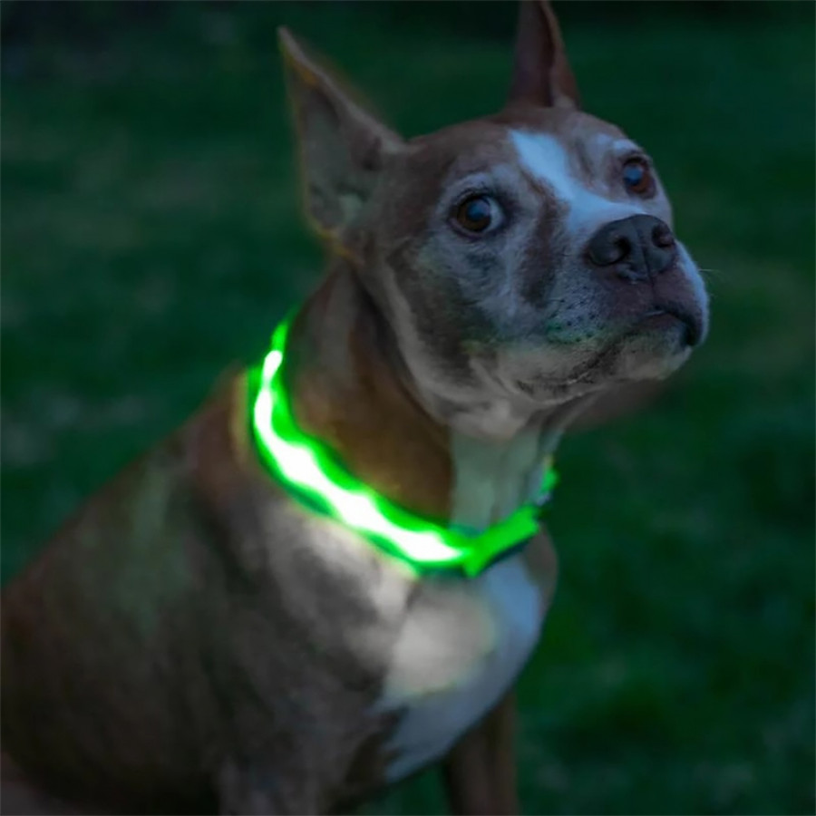 Светодиодный LED ошейник USB светящийся для собак и котов Green XS