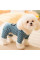 Комбинезон с капюшоном для собак Moo 2410SXMJ0172 тедди с петлей для поводка Blue XS