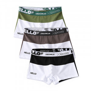 Набор мужских трусов боксеров PB3259 Green/Gray/Black из 3 шт  M