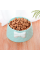 Миска для кошек Taotaopets 111123 Light Blue