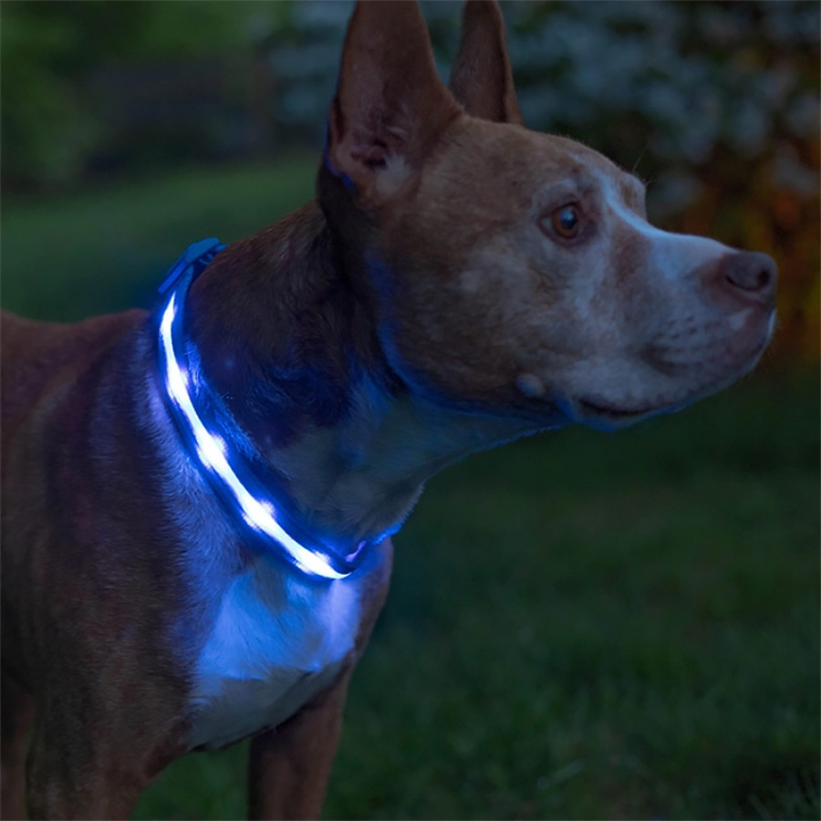 Светодиодный LED ошейник USB светящийся для собак и котов Blue L