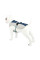 Шлея для собак TUFF HOUND TH00205 Blue M