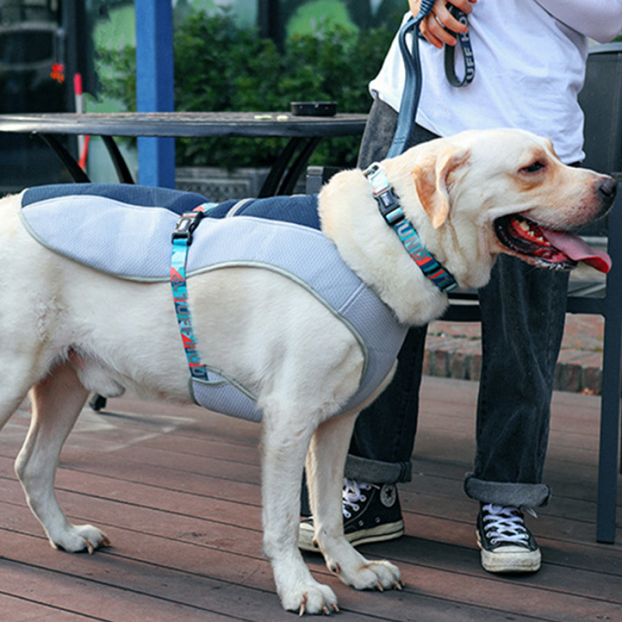 Шлея для собак TUFF HOUND TH00205 Blue M