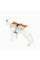 Шлея для собак TUFF HOUND TH00206 Orange L