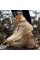 Ботинки тактические A533 6675 Sand Khaki 46