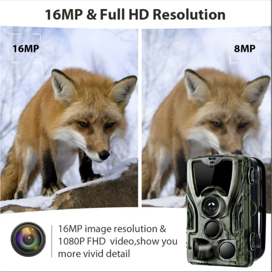Фотоловушка Suntek HC 801A з дальністю 25 м, кутом огляду 120°, датчиком руху та нічною зйомкою, захистом від вологи та пилу IP65.