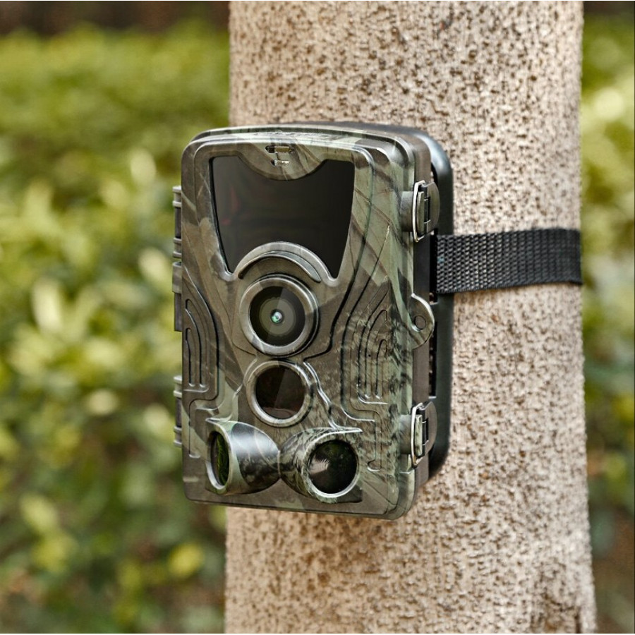 Фотоловушка Suntek HC 801A з дальністю 25 м, кутом огляду 120°, датчиком руху та нічною зйомкою, захистом від вологи та пилу IP65.