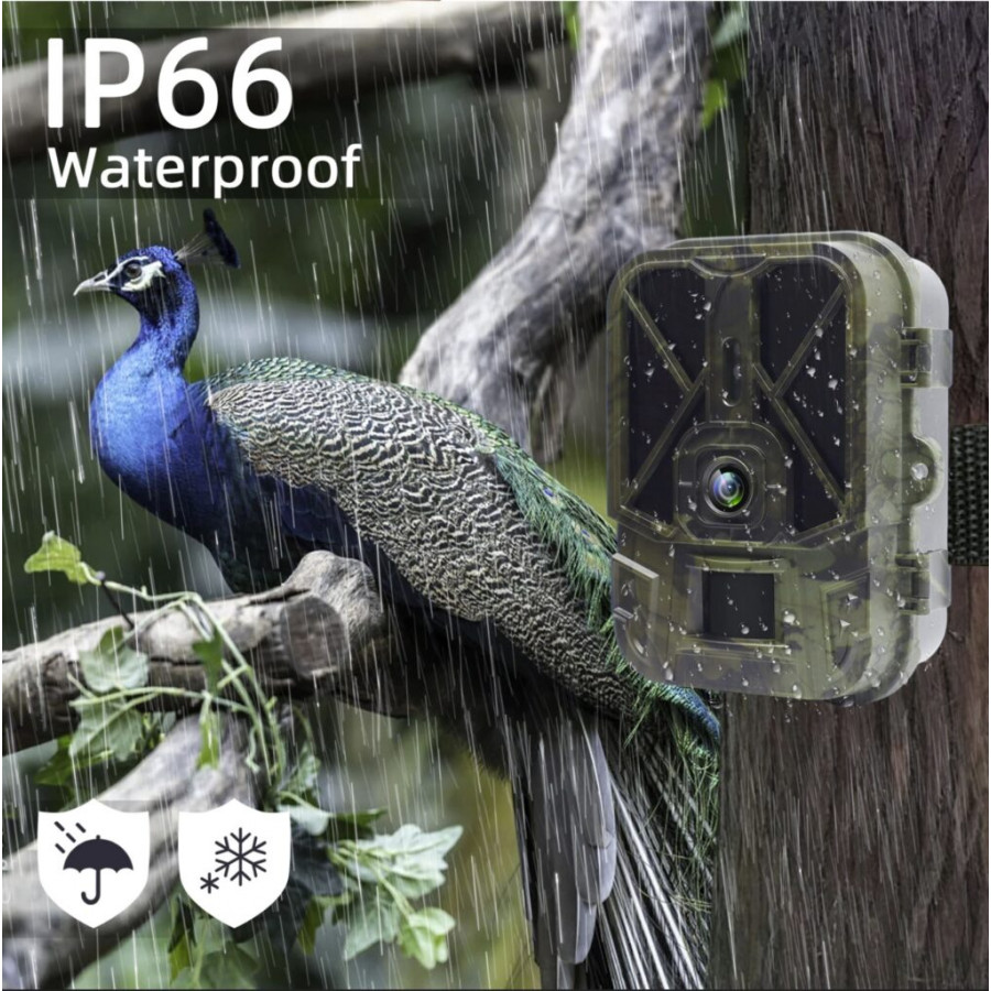 Фотопастка Suntek HC-940M-LI: нічна зйомка, GSM-модуль, датчик руху, захист IP65, дистанція 25 м