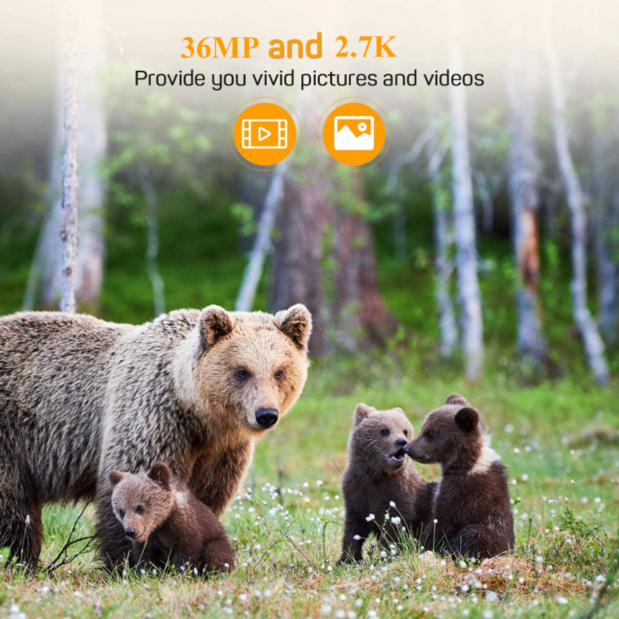 Фотопастка Suntek WiFi802 Plus з дальністю до 20 м, кут огляду 90°, захист IP65.